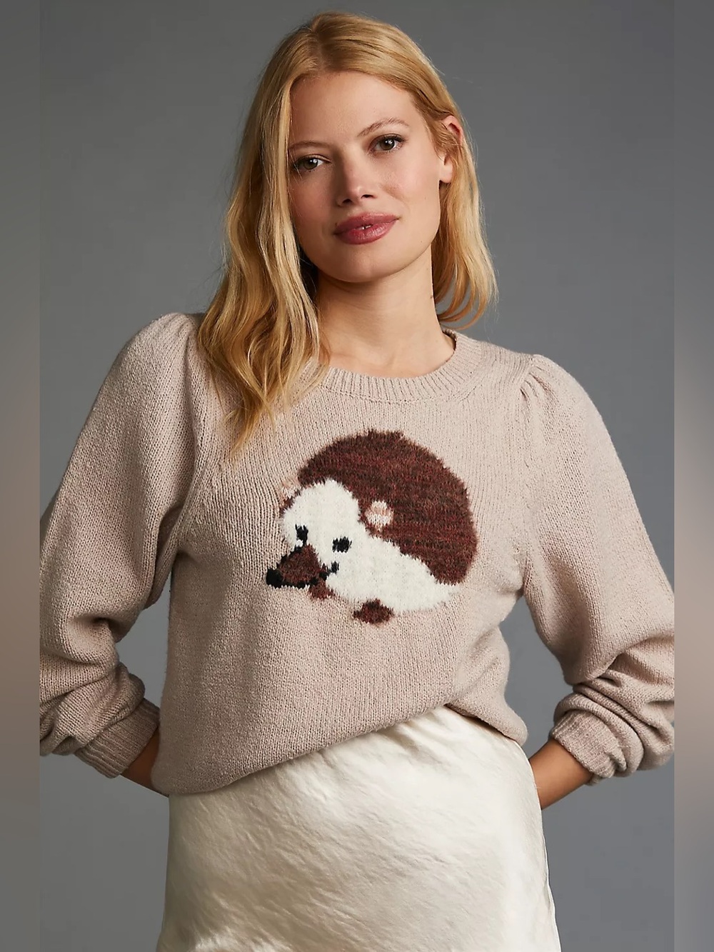 Anthropologie Maeve Hedgehog Sweater (Size S) - NWT